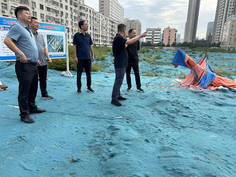 完美体育在线登录-完美online(中国)
党委委员、副总经理张岩到侯寨新镇区安置区调研项目建设工作